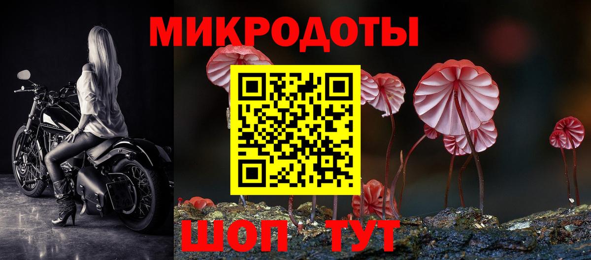 Псилоцибиновые грибы Psilocybe  Вход с VPN  Троицк 